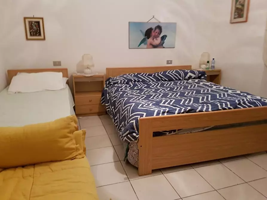 Immagine 6 di Appartamento in affitto  a Rosignano Marittimo