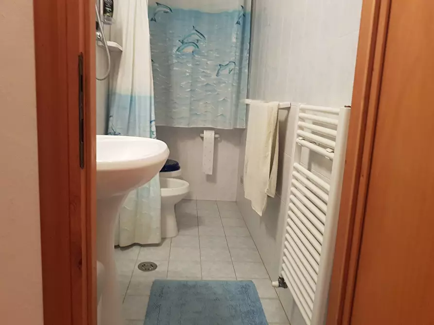 Immagine 11 di Appartamento in affitto  a Rosignano Marittimo