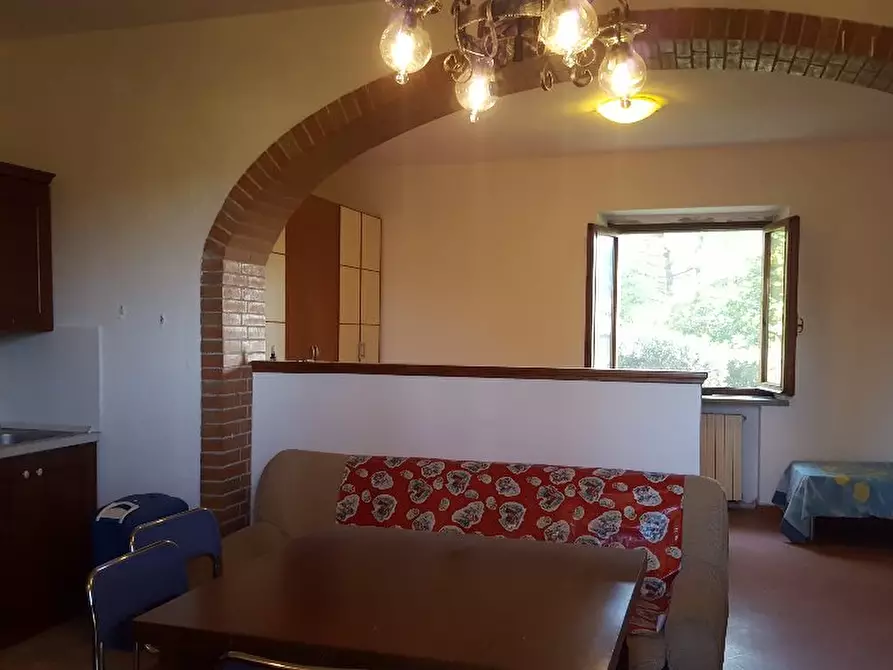 Immagine 3 di Appartamento in affitto  a Fauglia