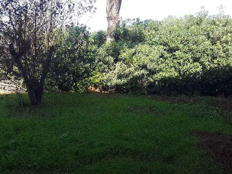 Immagine 2 di Appartamento in affitto  a Fauglia