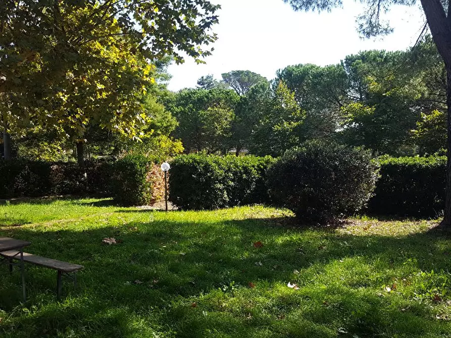 Immagine 4 di Appartamento in affitto  a Fauglia