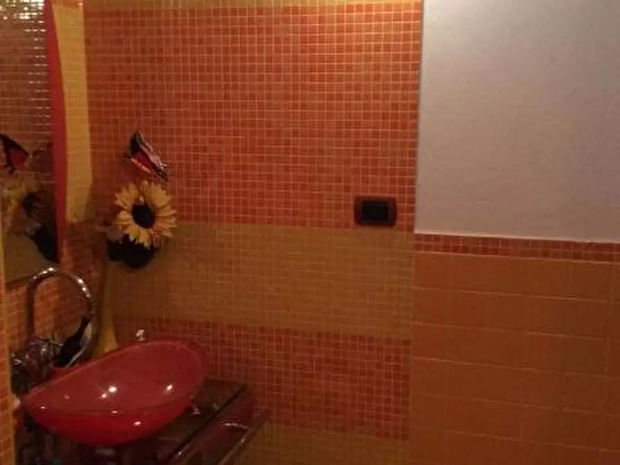 Immagine 24 di Casa colonica in vendita  a Cascina