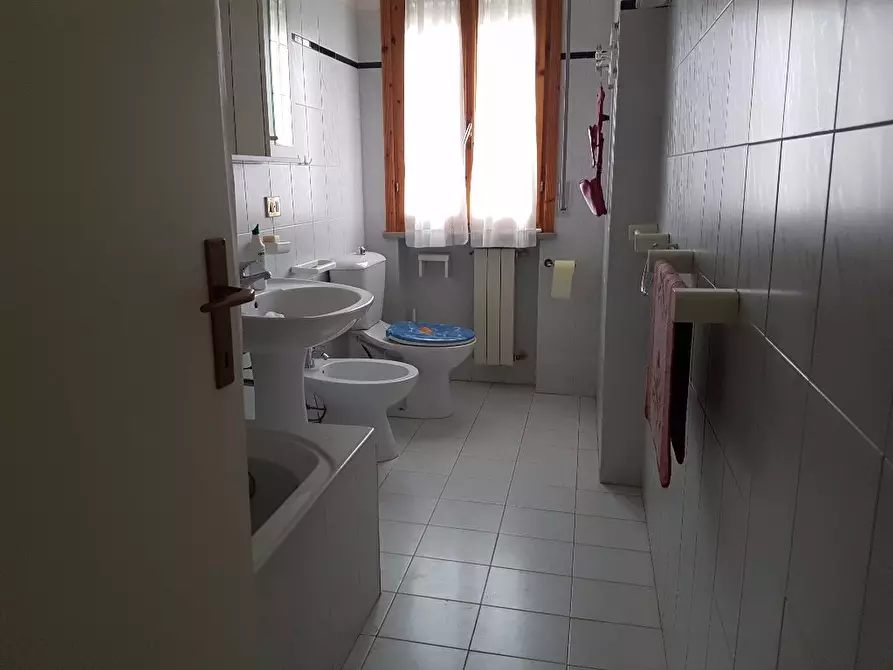 Immagine 11 di Appartamento in affitto  a Rosignano Marittimo