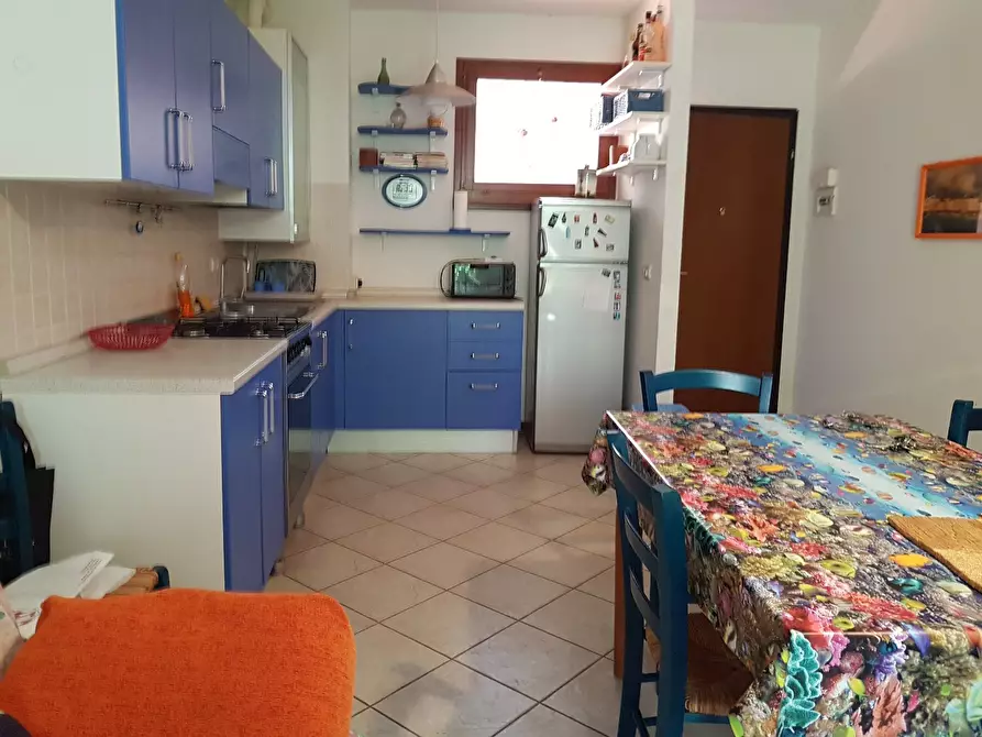 Immagine 9 di Appartamento in affitto  a Rosignano Marittimo