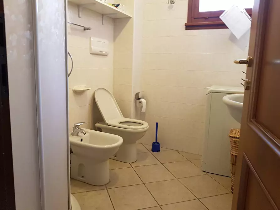 Immagine 11 di Appartamento in affitto  a Rosignano Marittimo