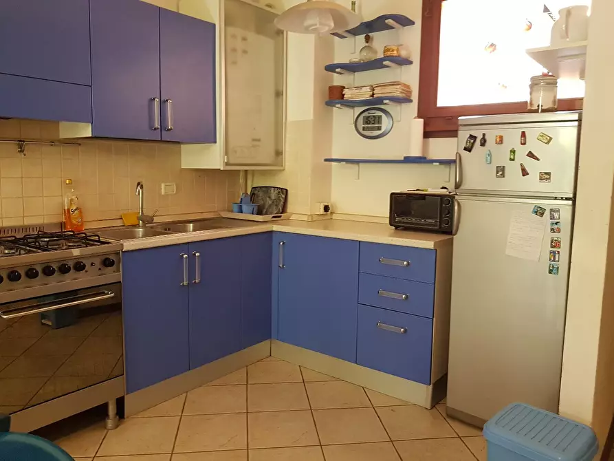 Immagine 17 di Appartamento in affitto  a Rosignano Marittimo