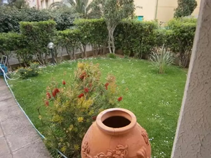 Immagine 9 di Appartamento in affitto  a Rosignano Marittimo