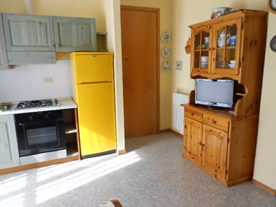 Immagine 17 di Appartamento in affitto  a Rosignano Marittimo