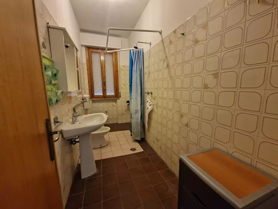 Immagine 7 di Appartamento in affitto  a Rosignano Marittimo