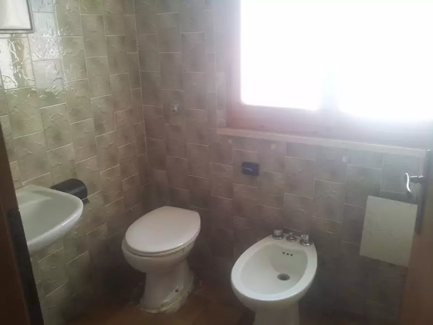 Immagine 9 di Appartamento in affitto  a Rosignano Marittimo