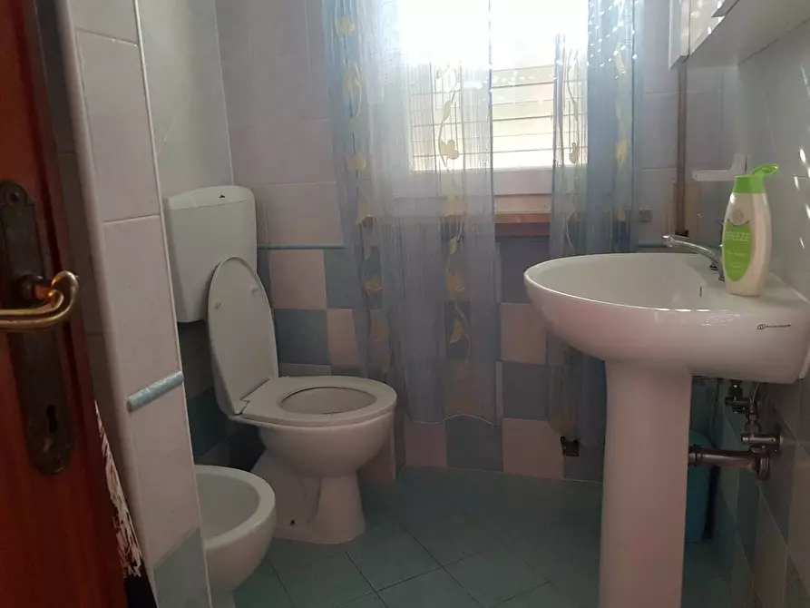 Immagine 16 di Appartamento in affitto  a Rosignano Marittimo