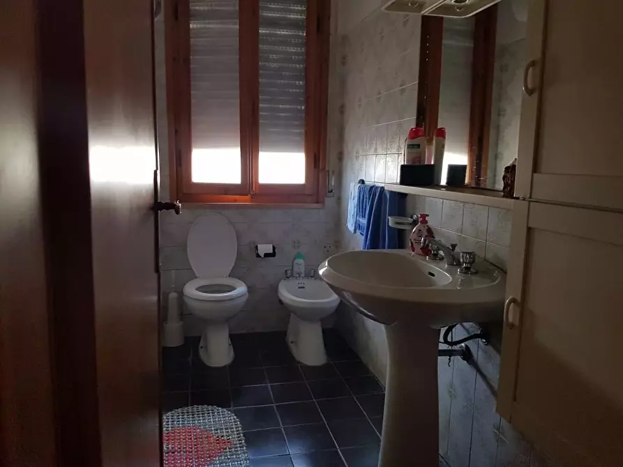 Immagine 5 di Appartamento in affitto  a Rosignano Marittimo