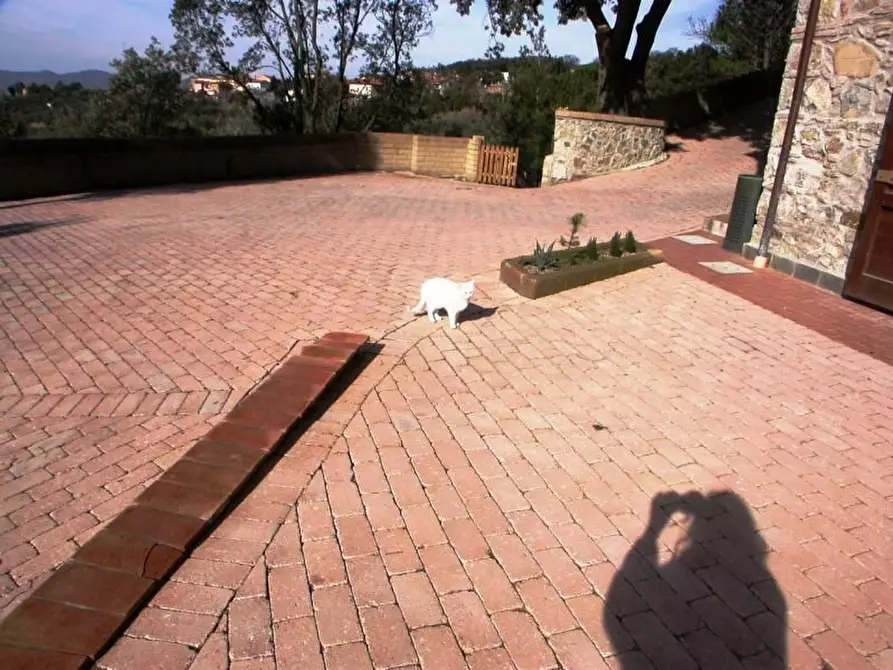 Immagine 8 di Villa in affitto  a Santa Luce