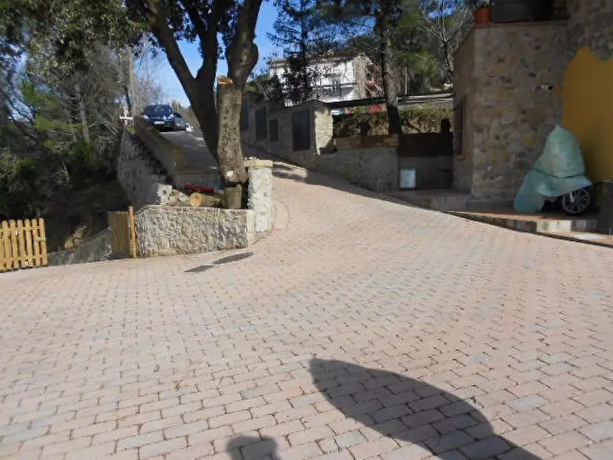 Immagine 17 di Villa in affitto  a Santa Luce