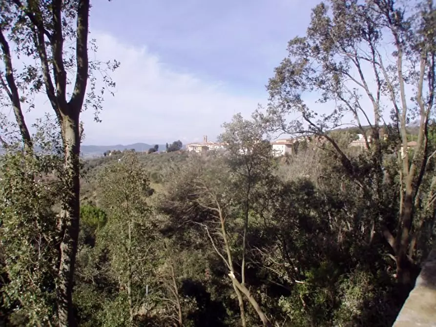 Immagine 19 di Villa in affitto  a Santa Luce