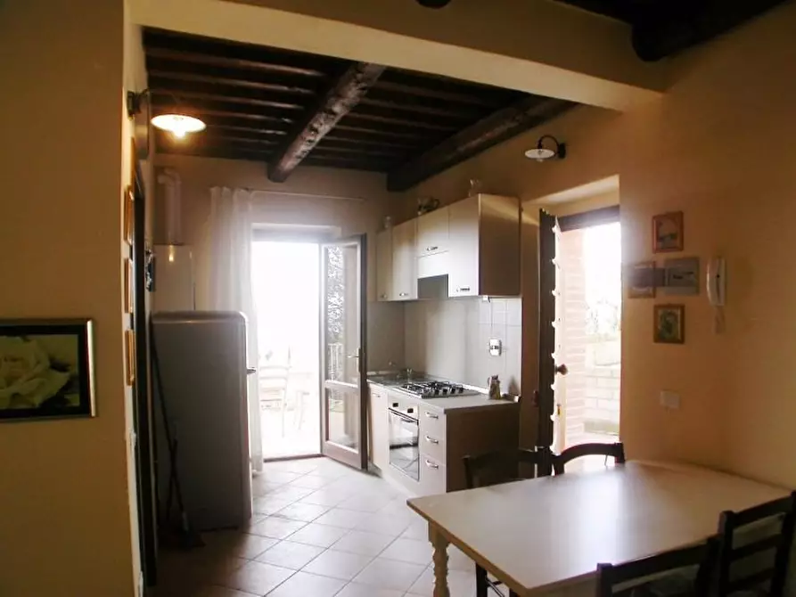 Immagine 14 di Villa in affitto  a Santa Luce