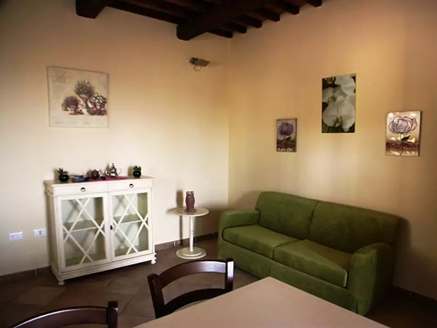 Immagine 13 di Villa in affitto  a Santa Luce