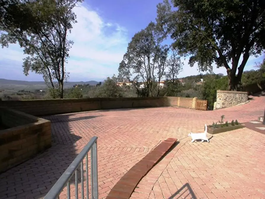 Immagine 7 di Villa in affitto  a Santa Luce