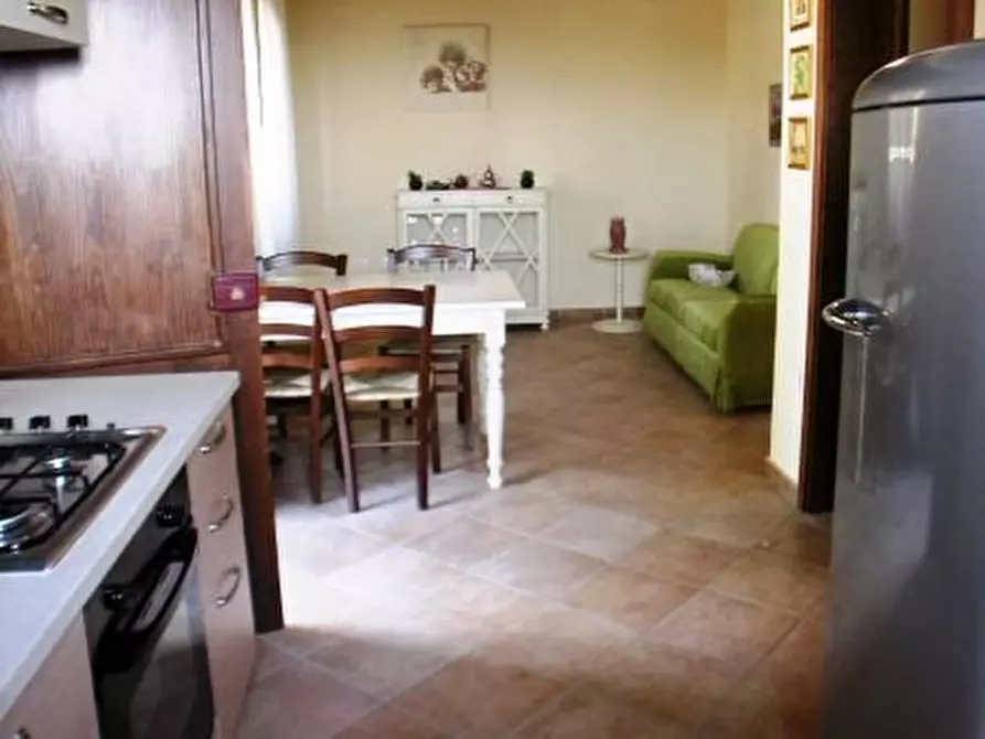 Immagine 16 di Villa in affitto  a Santa Luce