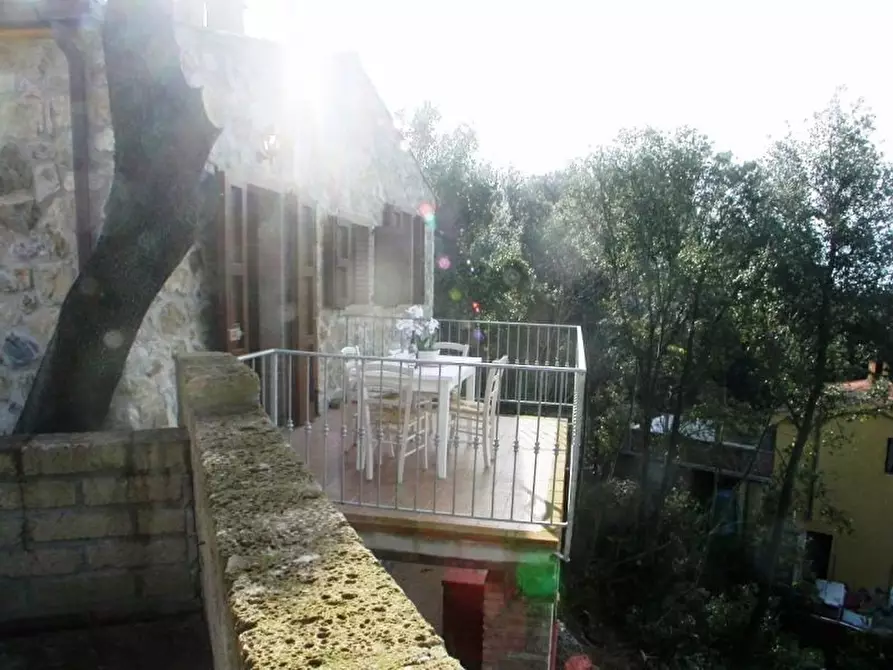 Immagine 10 di Villa in affitto  a Santa Luce