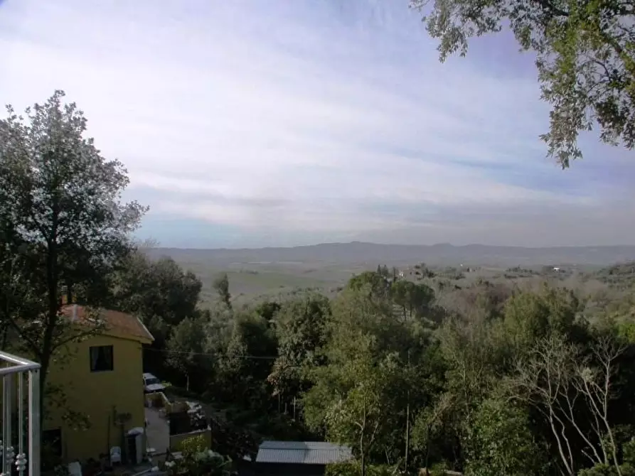 Immagine 6 di Villa in affitto  a Santa Luce