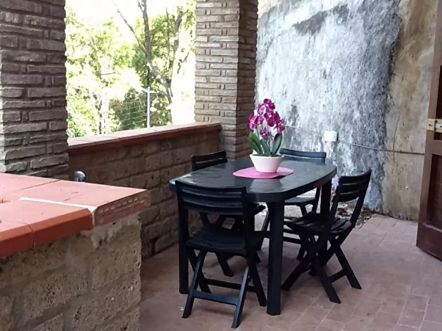 Immagine 13 di Appartamento in affitto  a Santa Luce