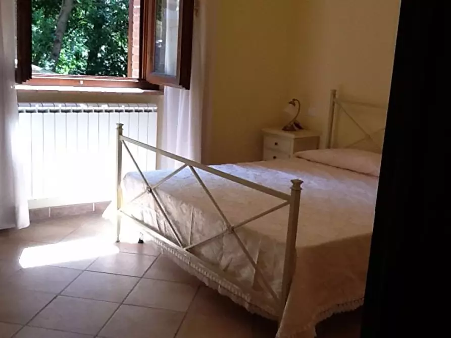 Immagine 8 di Appartamento in affitto  a Santa Luce