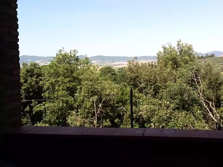 Immagine 5 di Appartamento in affitto  a Santa Luce