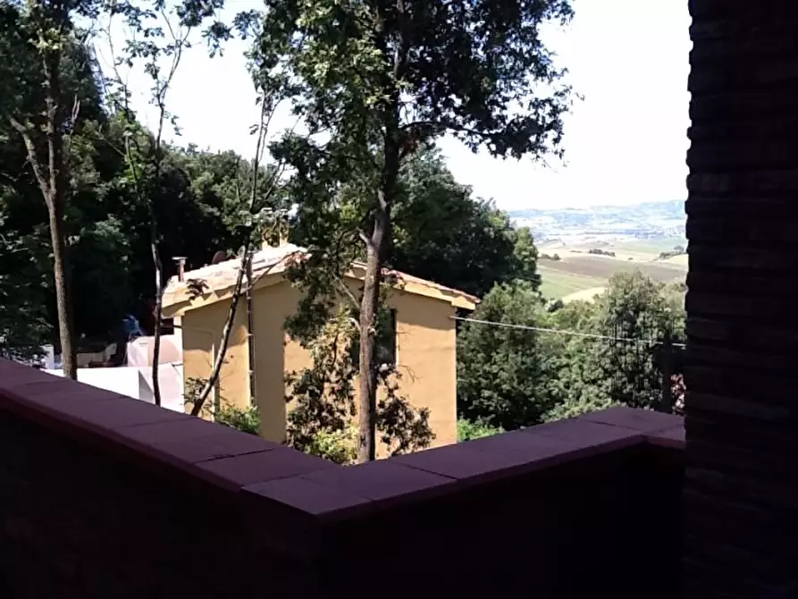 Immagine 4 di Appartamento in affitto  a Santa Luce