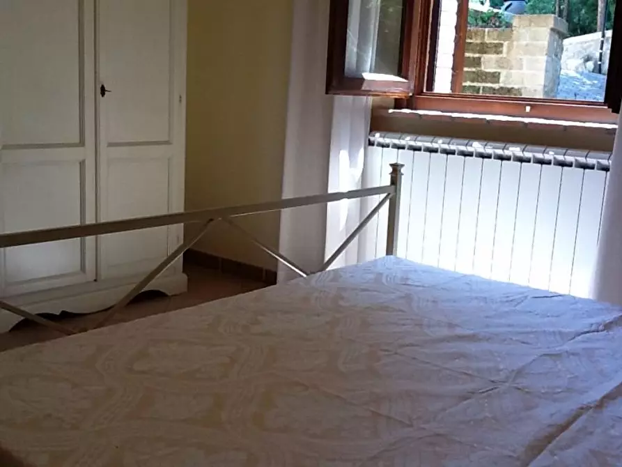 Immagine 10 di Appartamento in affitto  a Santa Luce