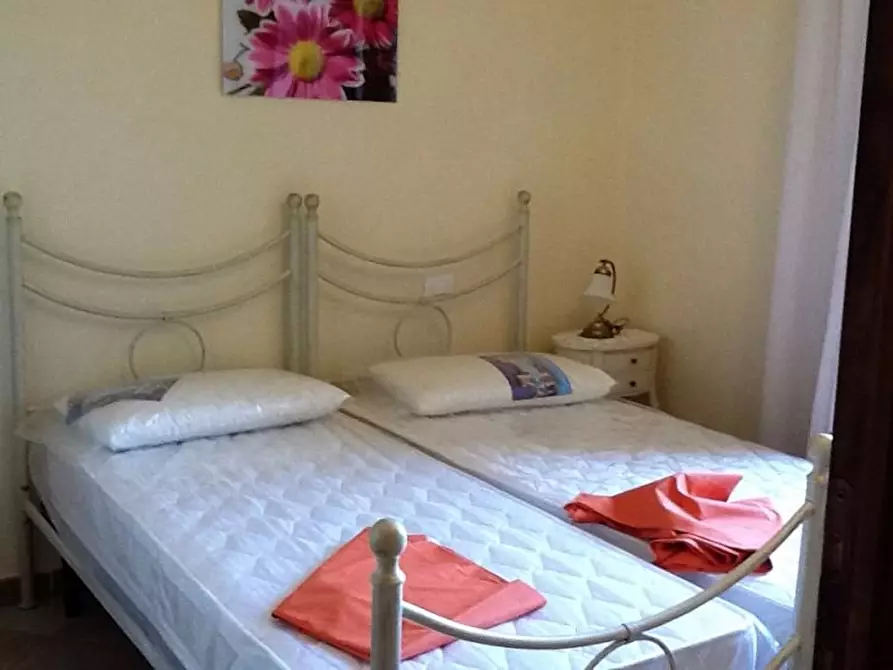 Immagine 11 di Appartamento in affitto  a Santa Luce