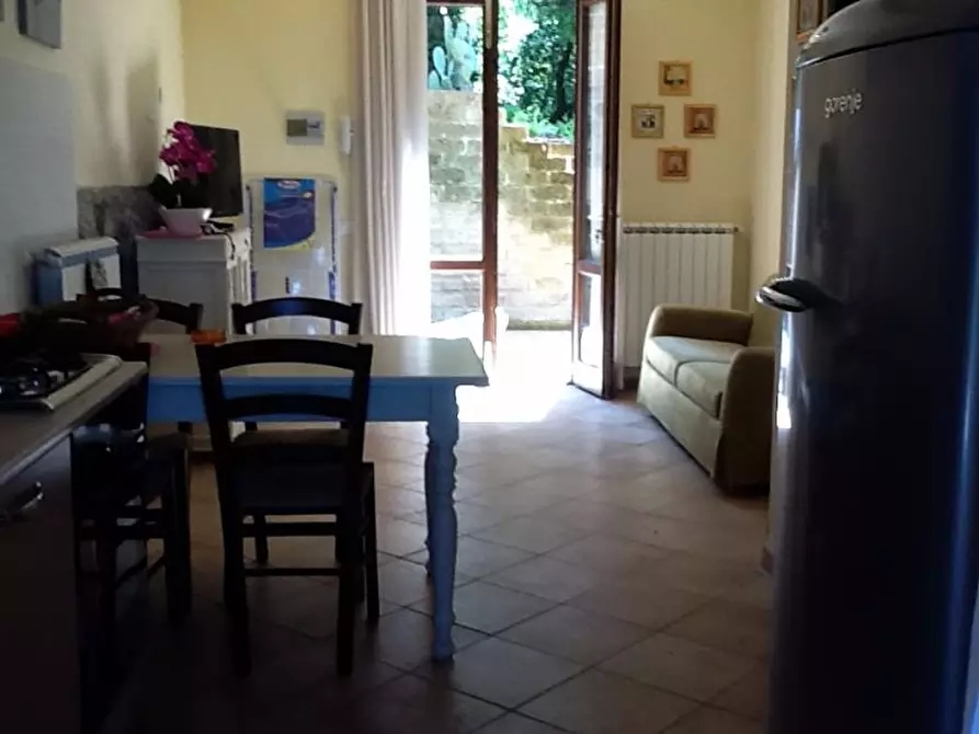 Immagine 6 di Appartamento in affitto  a Santa Luce