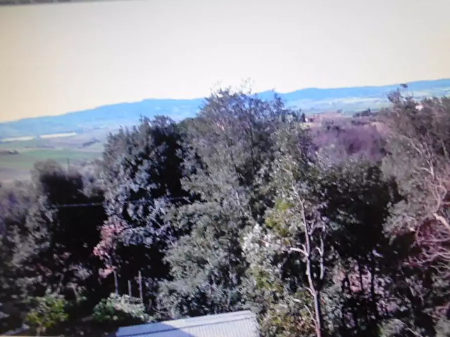 Immagine 5 di Villa in vendita  a Santa Luce