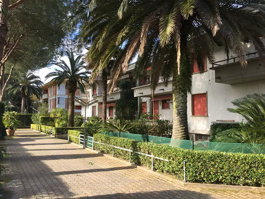 Immagine 2 di Appartamento in affitto  a Massa