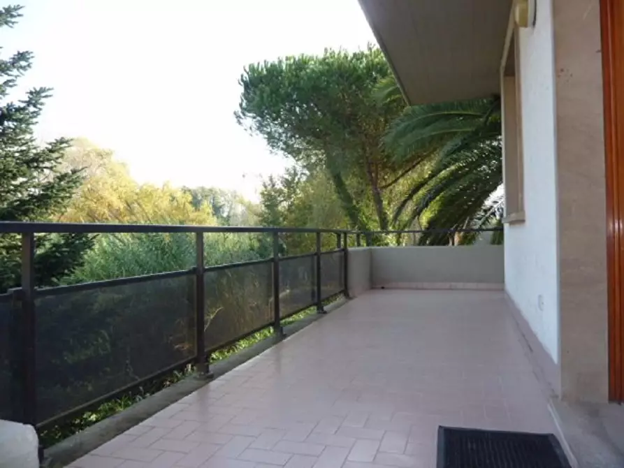 Immagine 3 di Appartamento in affitto  a Massa