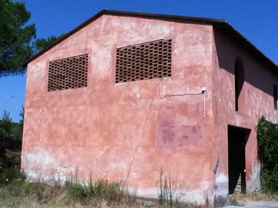 Immagine 1 di Casa colonica in vendita  a Empoli