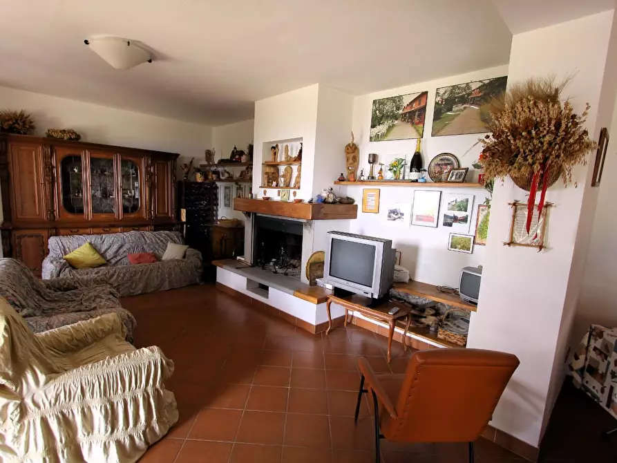 Immagine 5 di Casa colonica in vendita  a Vinci