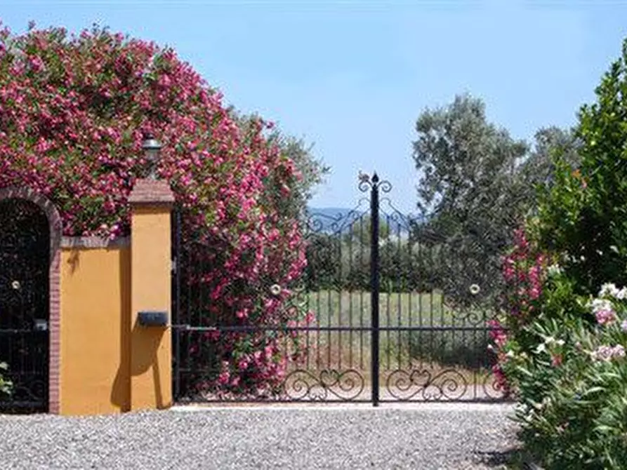 Immagine 2 di Agriturismo in vendita  a Rosignano Marittimo