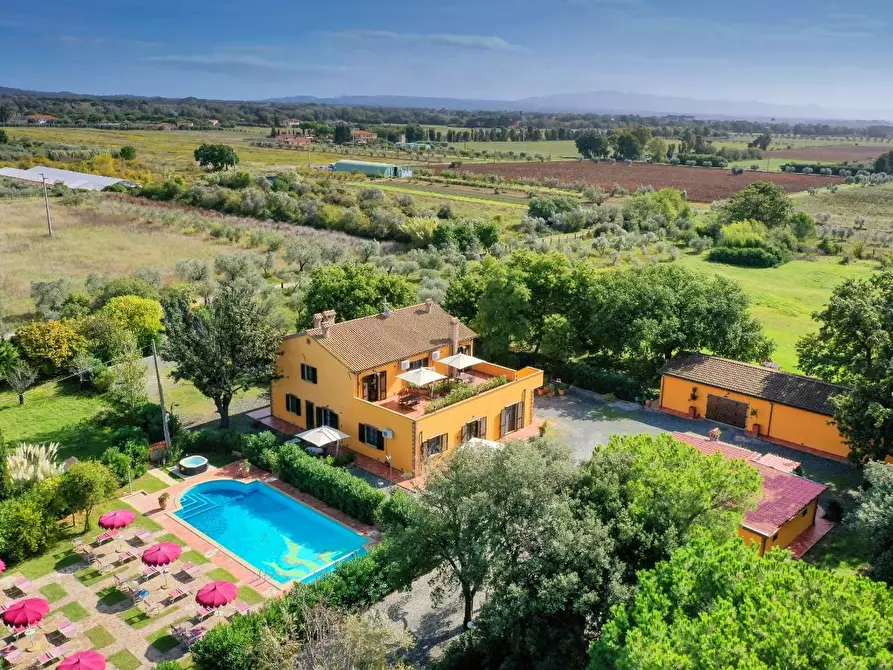 Immagine 7 di Agriturismo in vendita  a Rosignano Marittimo
