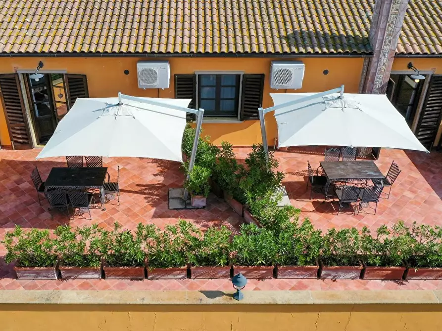 Immagine 6 di Agriturismo in vendita  a Rosignano Marittimo