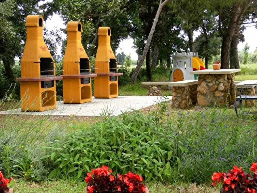 Immagine 12 di Agriturismo in vendita  a Rosignano Marittimo