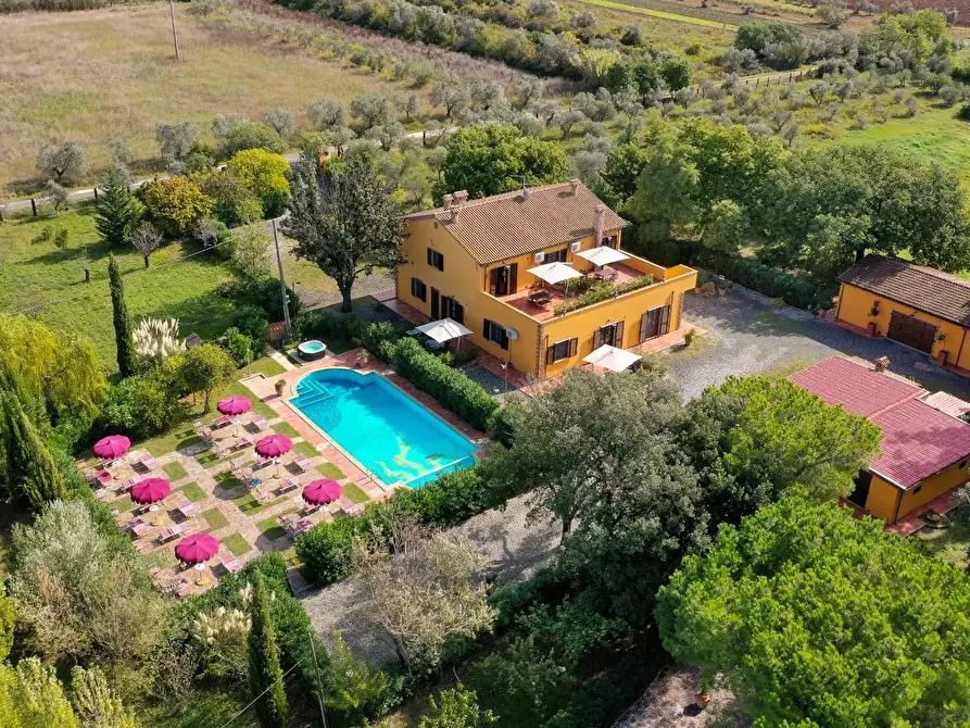 Immagine 8 di Agriturismo in vendita  a Rosignano Marittimo