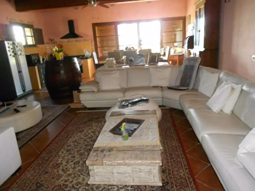 Immagine 15 di Agriturismo in vendita  a Rosignano Marittimo