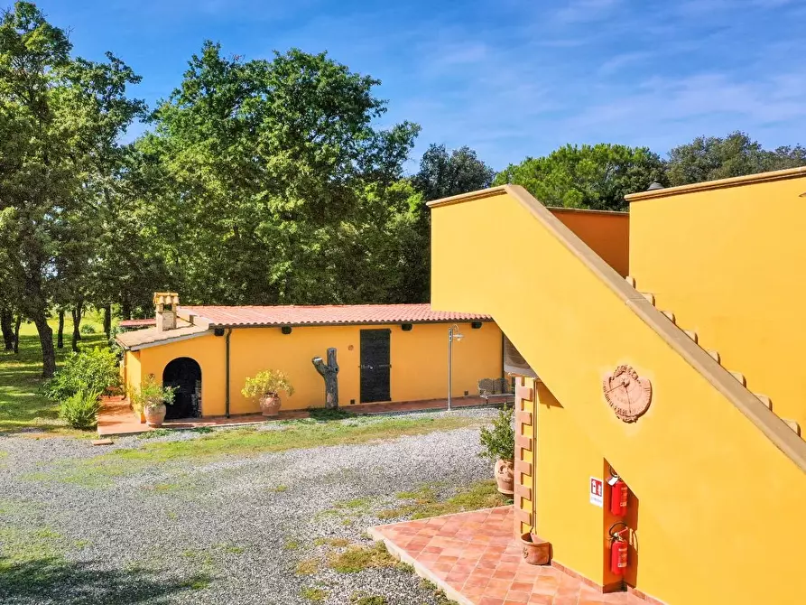 Immagine 12 di Agriturismo in vendita  a Rosignano Marittimo