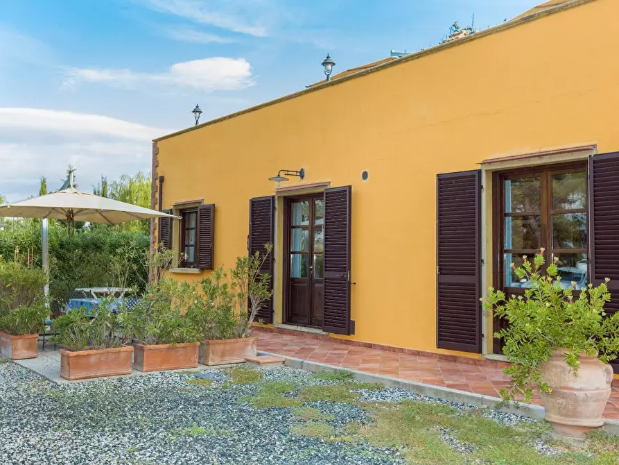 Immagine 15 di Agriturismo in vendita  a Rosignano Marittimo