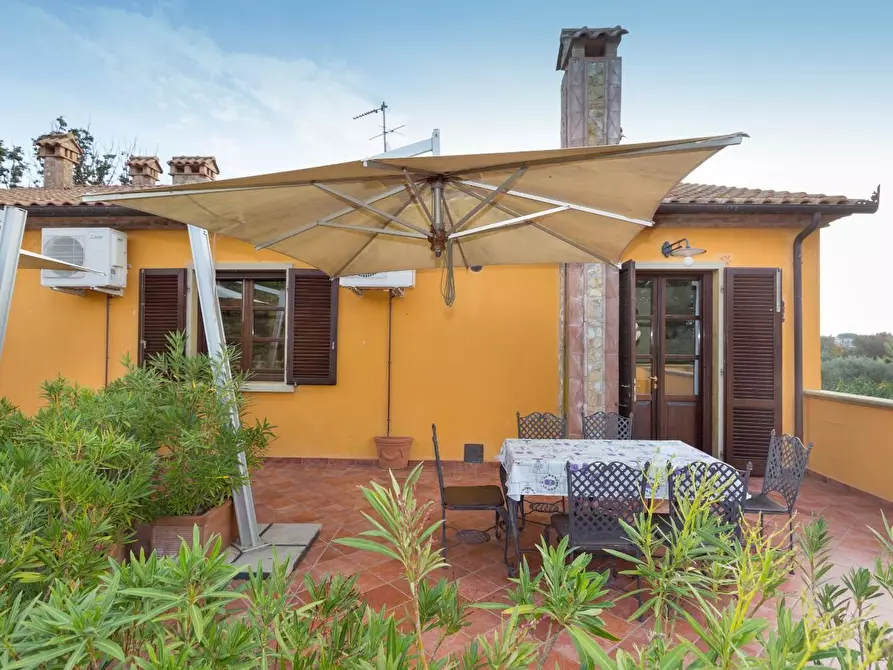 Immagine 29 di Agriturismo in vendita  a Rosignano Marittimo
