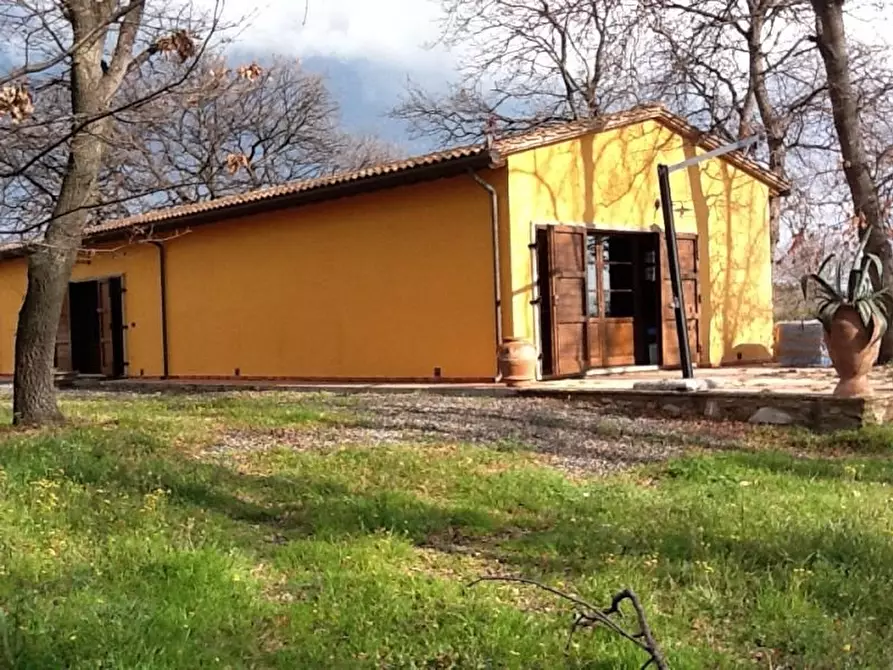 Immagine 14 di Agriturismo in vendita  a Rosignano Marittimo