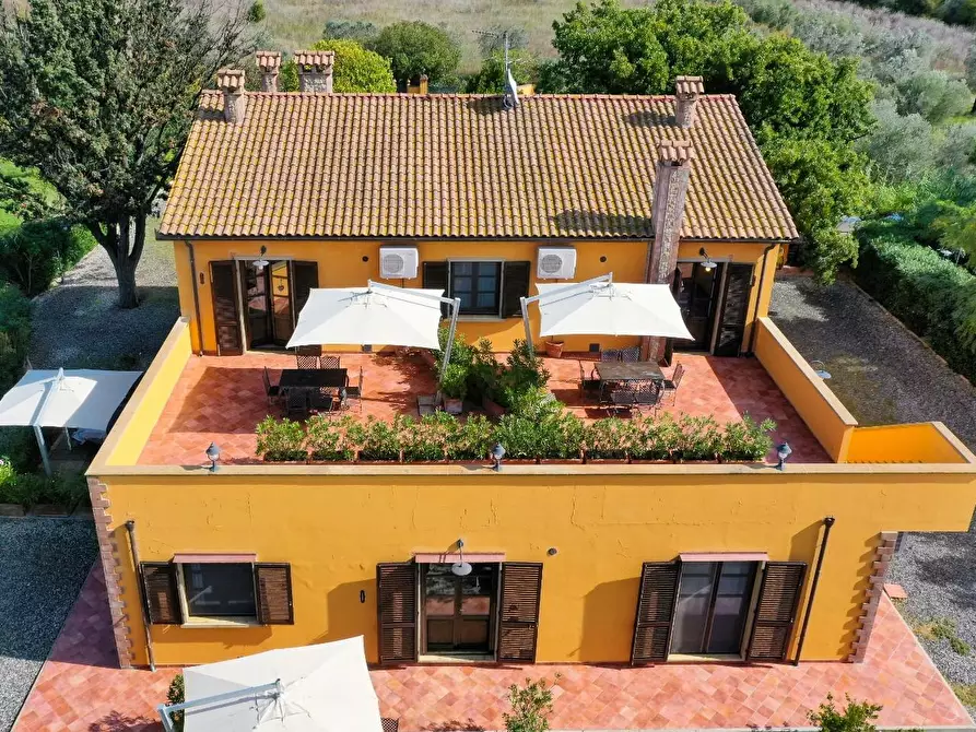 Immagine 5 di Agriturismo in vendita  a Rosignano Marittimo