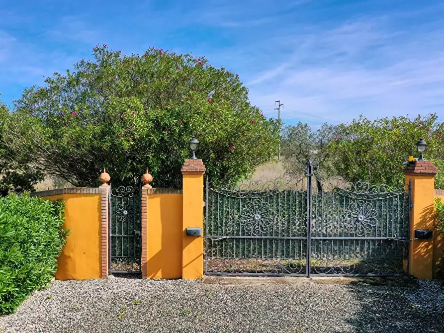 Immagine 28 di Agriturismo in vendita  a Rosignano Marittimo