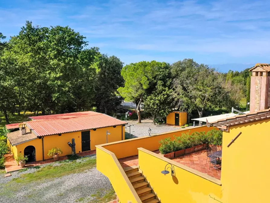 Immagine 13 di Agriturismo in vendita  a Rosignano Marittimo